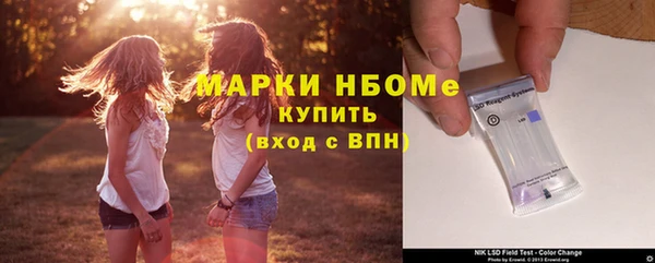 соль ск Строитель